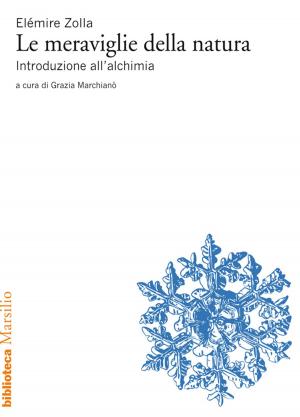 Cover of the book Le meraviglie della natura by Angelo Mellone, Aurelio Picca, Luca Telese, Flavia Piccinni
