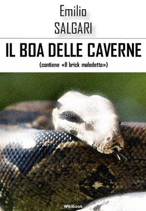 Cover of the book Il boa delle caverne by Joseph Conrad