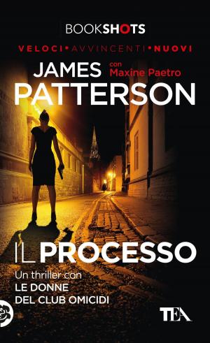 Cover of the book Il processo by Tracy Lawson