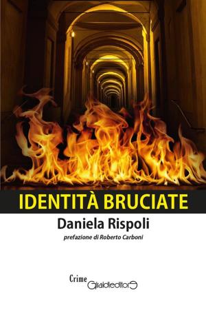Book cover of Identità Bruciate