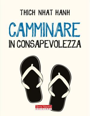 Cover of the book Camminare in consapevolezza by Clara Scropetta