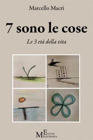 Cover of the book 7 sono le cose by Antonio Il Grande