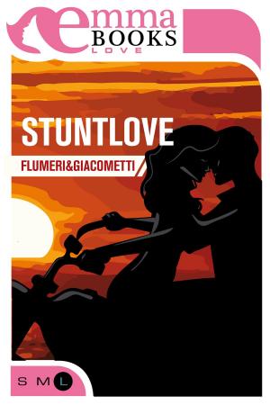 Book cover of StuntLove