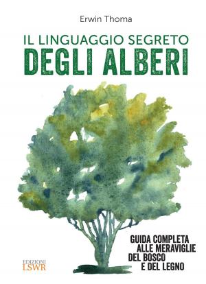 Cover of Il linguaggio segreto degli alberi