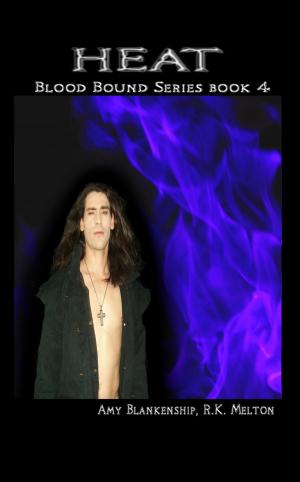 bigCover of the book Heat (Blood Bound Book 4) by 