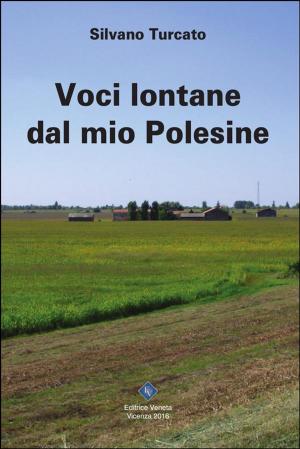 Cover of Voci lontane dal mio Polesine