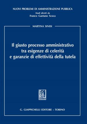 Cover of the book Il giusto processo amministrativo tra esigenze di celerità e garanzie di effettività della tutela by Roberta Giordano