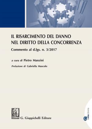 Cover of the book Il risarcimento del danno nel diritto della concorrenza by Anna Cabigiosu
