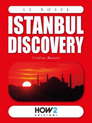 Cover of the book ISTANBUL DISCOVERY by Barbara Gallo