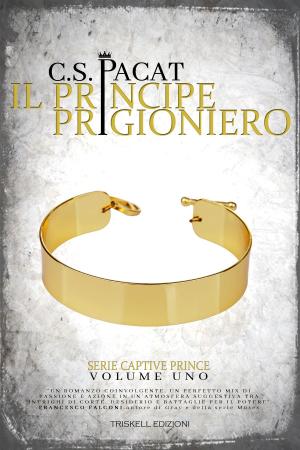 Cover of the book Il principe prigioniero by Iyana Jenna