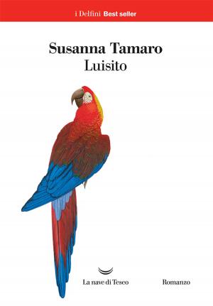 Book cover of Luisito