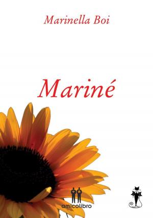 Cover of the book Mariné by Giorgio Binnella