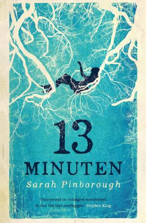 Cover of the book 13 minuten by Iris Boter