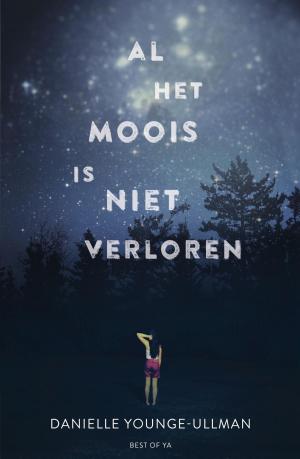 Cover of the book Al het moois is niet verloren by Arend van Dam