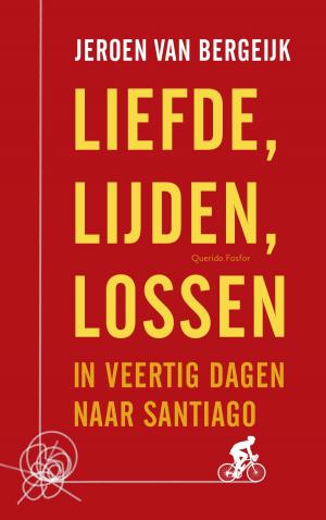Cover of the book Liefde, lijden, lossen by Levi Weemoedt