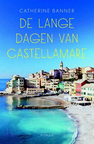 bigCover of the book De lange dagen van Castellamare by 