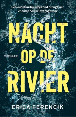 Cover of the book Nacht op de rivier by Jelle Derckx