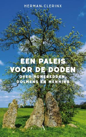 Cover of the book Een paleis voor de doden by Bram Dehouck