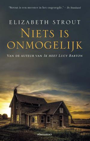 Cover of the book Niets is onmogelijk by Rob van Essen