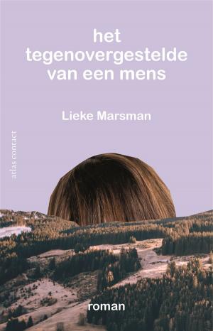 Cover of the book Het tegenovergestelde van een mens by Jeroen Brouwers
