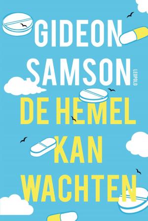 Cover of the book De hemel kan wachten by Tonke Dragt