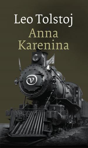 Cover of the book Anna Karenina by alex trostanetskiy