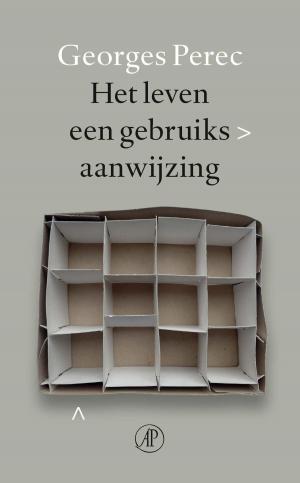 Cover of the book Het leven een gebruiksaanwijzing by Thomas Enger