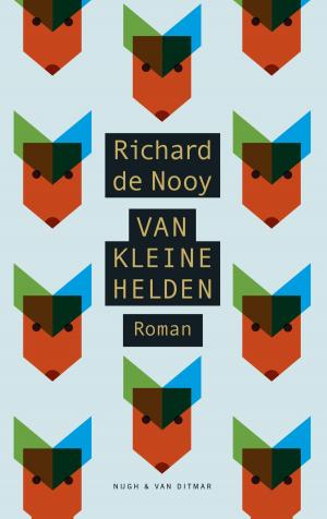 Cover of the book Van kleine helden by Pjeroo Roobjee