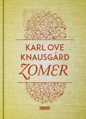 Cover of the book Zomer by A.F.Th. van der Heijden
