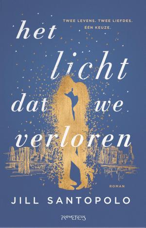 Cover of the book Het licht dat we verloren by Thomas Heerma van Voss, Daan Heerma van Voss