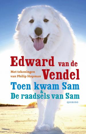 Cover of the book Toen kwam Sam & De raadsels van Sam by James Joyce