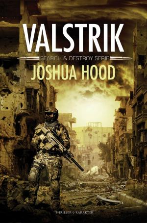 Cover of the book Valstrik by Brad Thor, Larry Bond, Claude Berube, Chris Carlson