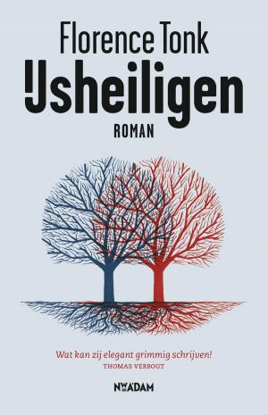 Cover of the book IJsheiligen by Mart Smeets