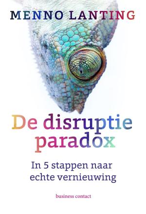 Cover of the book De disruptieparadox by Martine Bijl