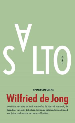 Cover of the book Salto by Joris Luyendijk