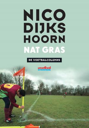 Cover of the book Nat gras by Michel van Egmond