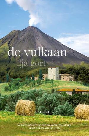 Cover of the book De vulkaan by Eric van den Berg
