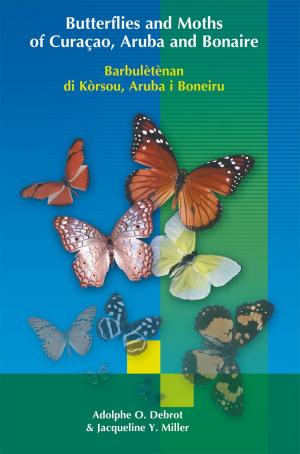 Book cover of Butterflies and Moths of Curacao, Aruba and Bonaire