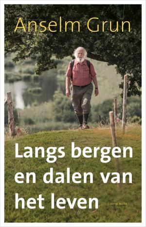 Cover of the book Langs bergen en dalen van het leven by Dennis Verweijen