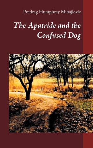Cover of the book The Apatride and the Confused Dog by Ingo Michael Simon