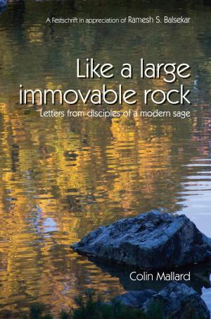bigCover of the book Like A Large Immovable Rock: Letters From Disciples Of A Modern Sage by 