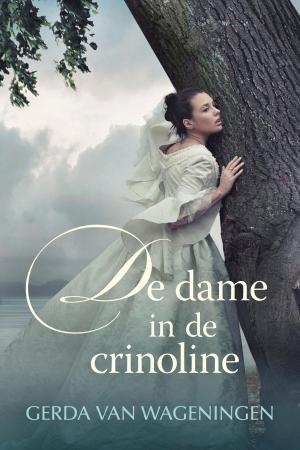Cover of the book De dame in de crinoline by Johan van Dorsten