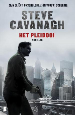 Cover of the book Het pleidooi by David Hewson
