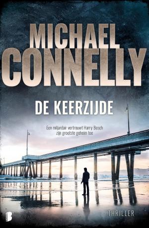 Cover of the book De keerzijde by Audrey Carlan