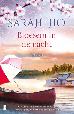 Cover of the book Bloesem in de nacht by John Boyne