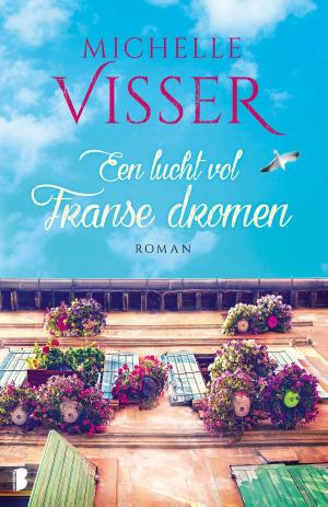 bigCover of the book Een lucht vol Franse dromen by 