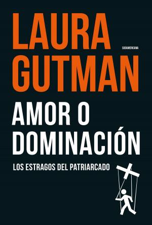 Cover of the book Amor o dominación by Daniel Gutman