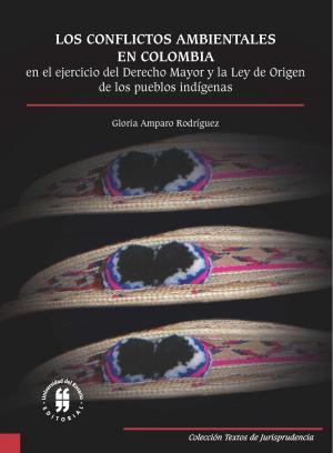 Cover of the book Los conflictos ambientales en Colombia by Juan Gonzalo Zapata Giraldo