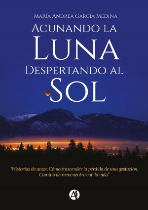 Cover of the book Acunando la luna by Nicolás Saldaña