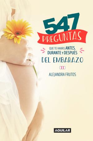 Cover of the book 547 preguntas que te harás antes, durante y después del embarazo by Diego Moraes